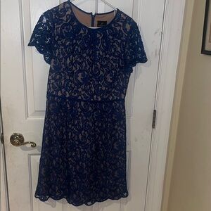 Adrianna Papell Royal Blue Lace Dress